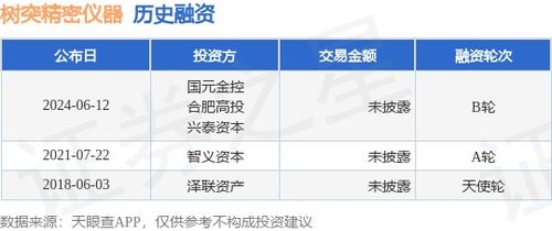 樹突精密儀器B輪融資完成，國元金控與合肥高投等機構注資，網絡技術賦能高端儀器新篇章