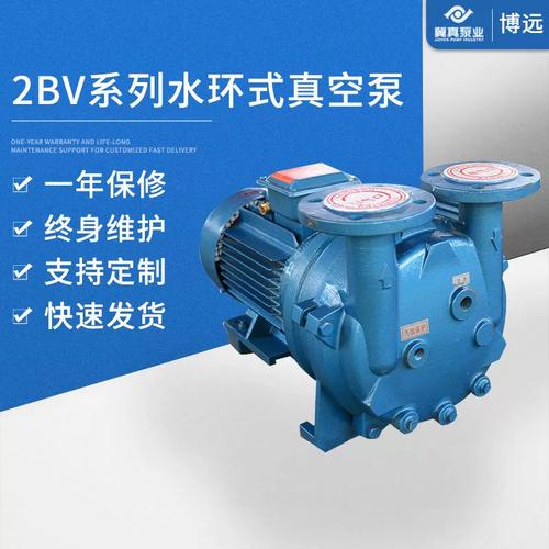 2BV系列不銹鋼水環式真空泵 現代工業氣體傳輸的可靠之選
